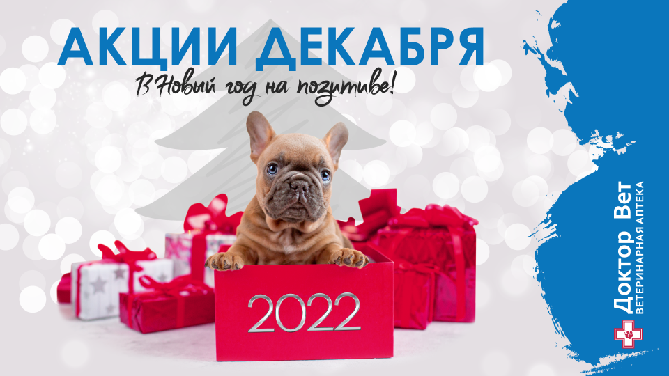 Акции декабря в Доктор Вет!