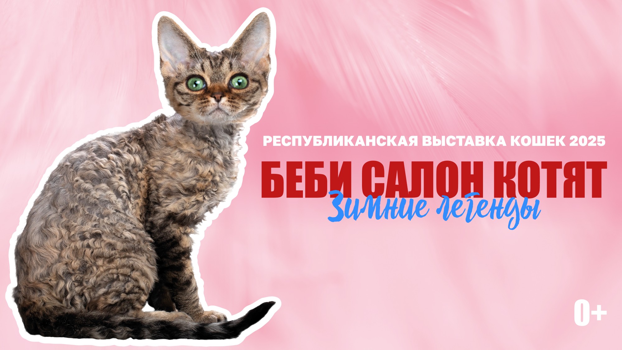 Республиканская выставка кошек и котят