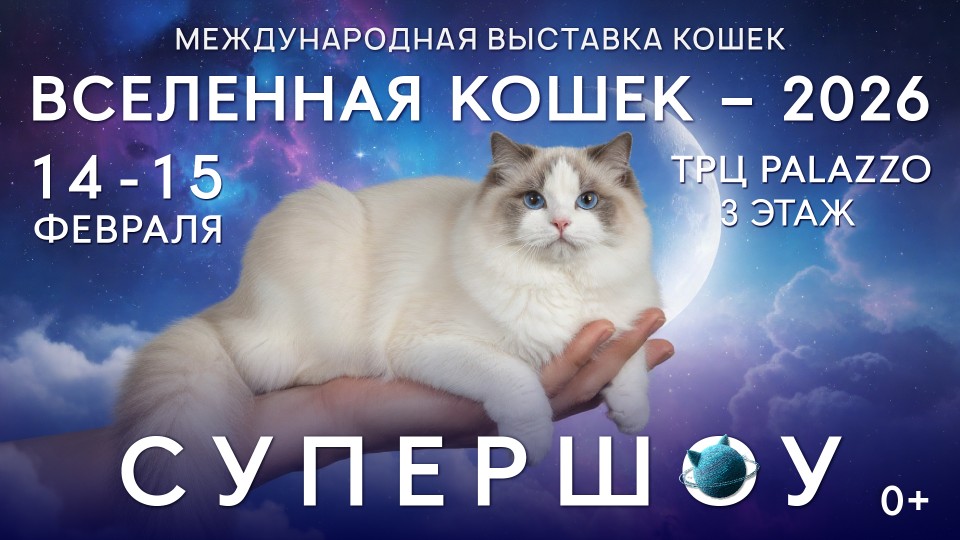 Вселенная Кошек 2026!