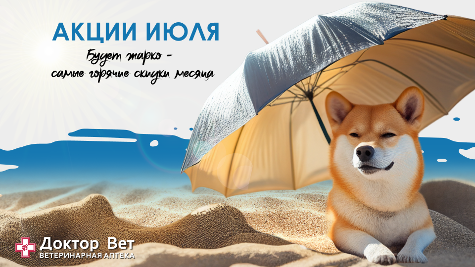 Июльские скидочные предложения от «Доктор Вет» весь месяц!