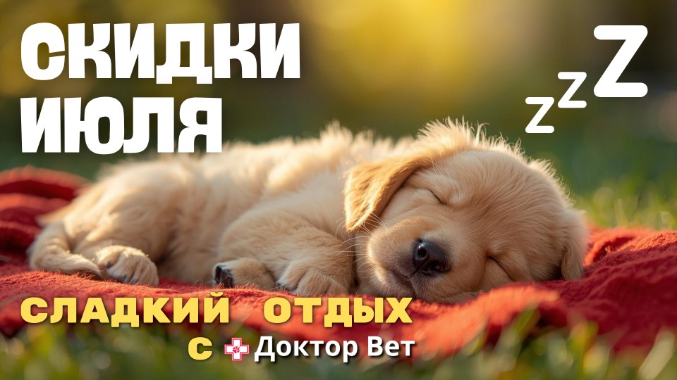 🌞 Лето, солнце, пляж... и тотальный «кусь»  на цены!