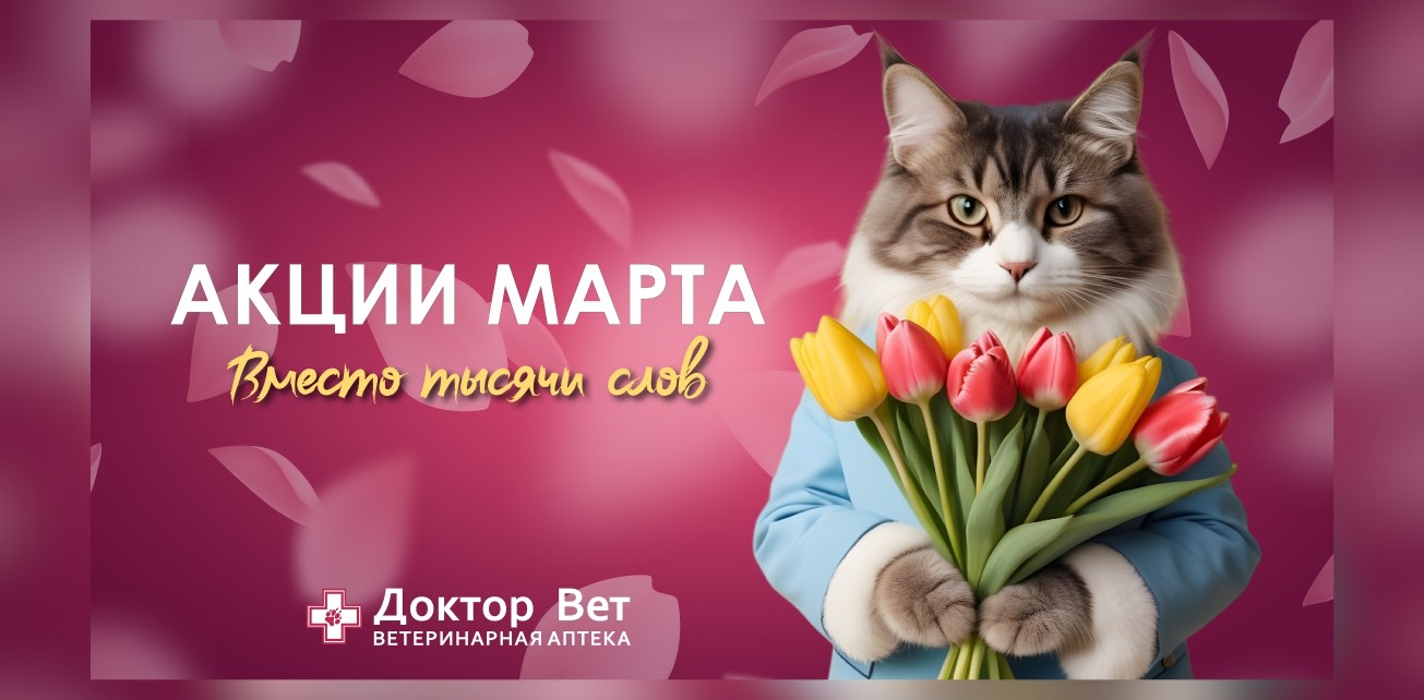 Доктор Вет - акции марта