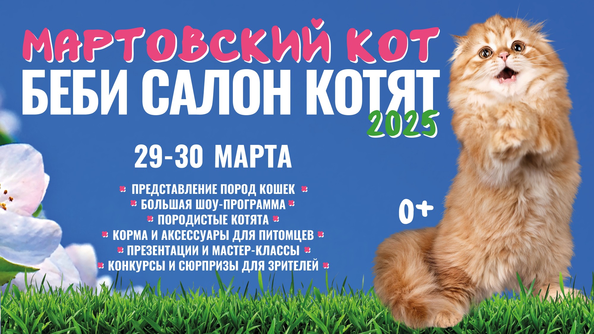 Беби Салон Котят — 2025