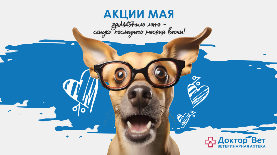 Акции в Доктор Вет