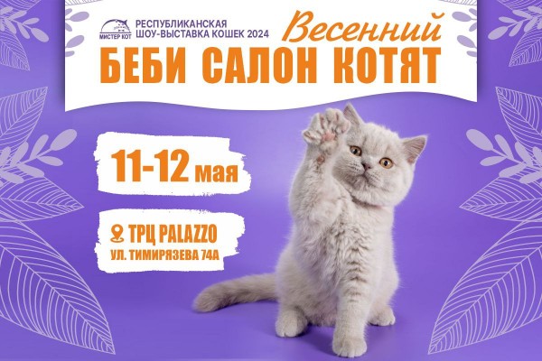 Весенний Беби Салон Котят — 2024. Республиканская шоу-выставка кошек и котят