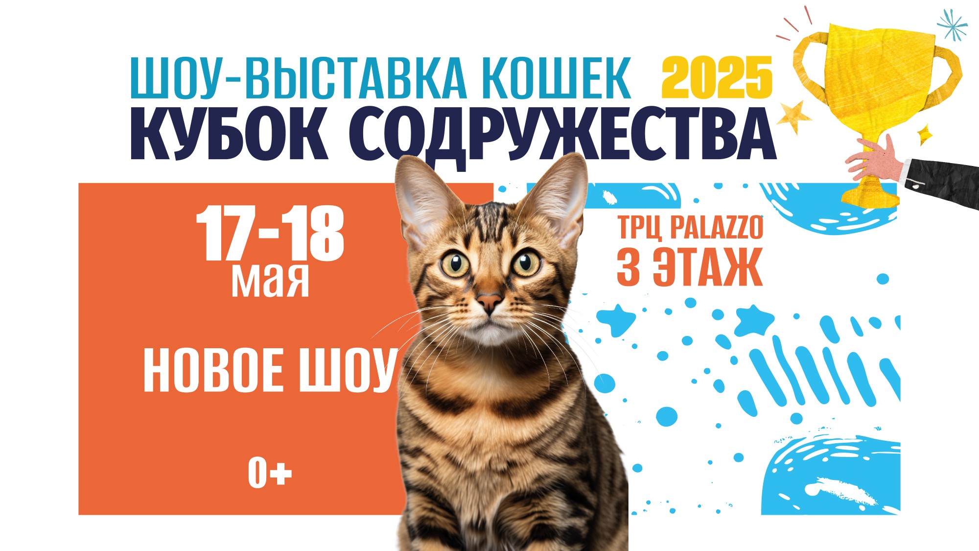 Международная выставка кошек и котят