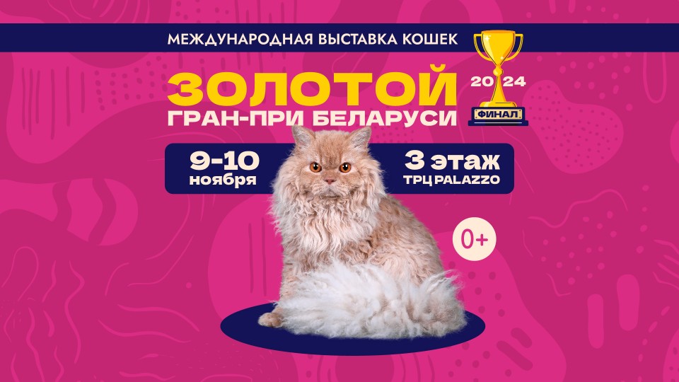 Международная выставка кошек