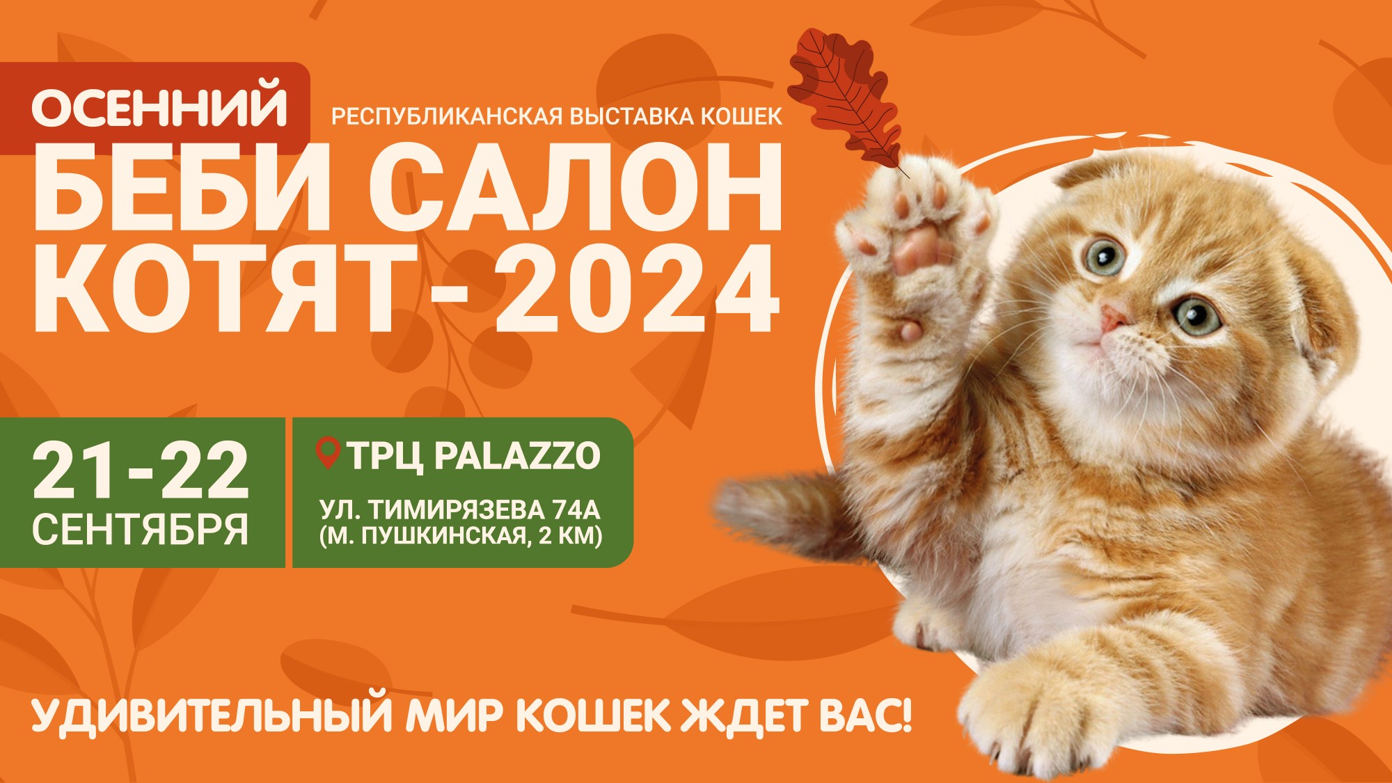 Республиканская шоу-выставка кошек и котят