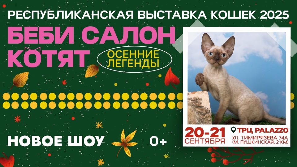 Беби Салон Котят — 2025! «Осенние Легенды». Республиканская выставка кошек в Palazzo