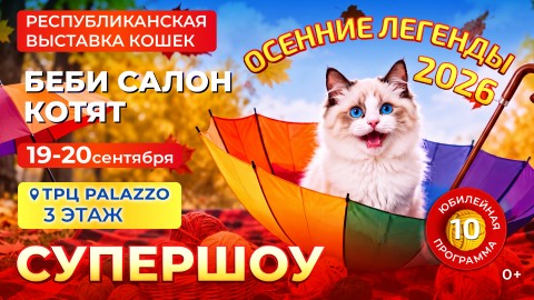 Беби Салон Котят — 2026! «Осенние Легенды». Нам 10 лет! 