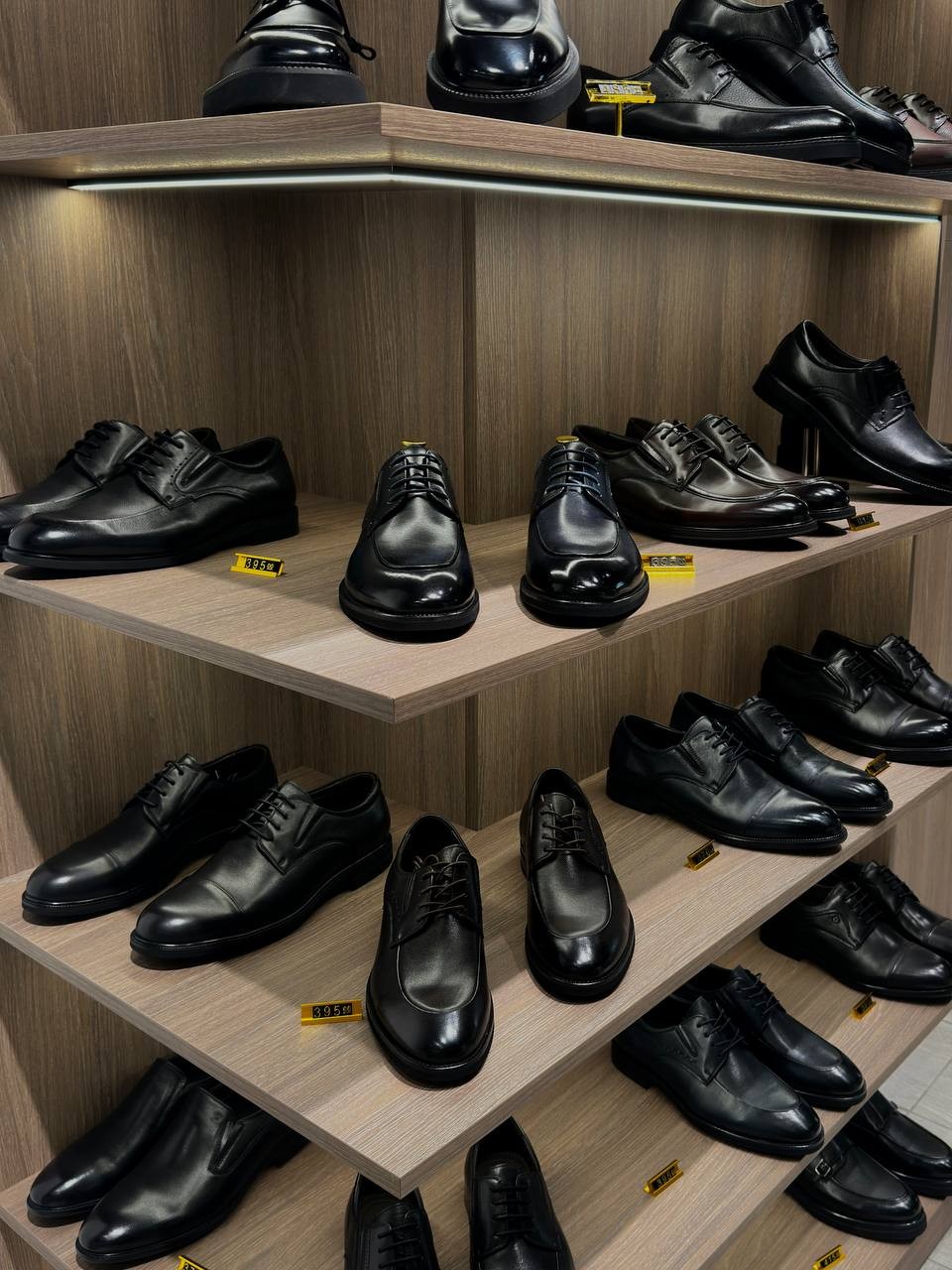 BASE SHOES